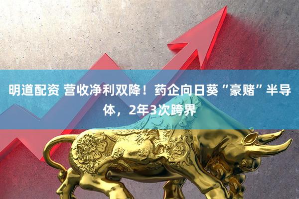 明道配资 营收净利双降！药企向日葵“豪赌”半导体，2年3次跨界